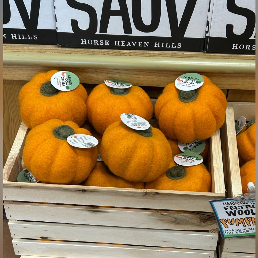 🎃NEW!🏷️Trader Joe’s Handcrafted in Nepal Felted Wool Pumpkin - size Medium+FREE🎁
